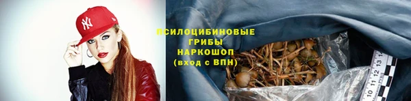 бошки Абаза