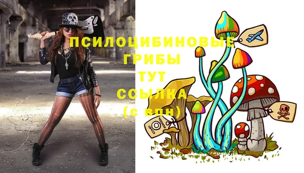 бошки Абаза