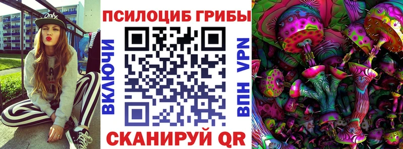 Псилоцибиновые грибы прущие грибы сайты даркнета наркотические препараты Кудымкар